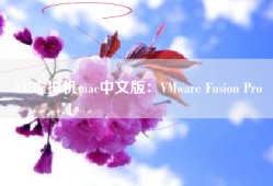 VM虚拟机mac中文版：VMware Fusion Pro