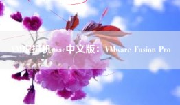 VM虚拟机mac中文版：VMware Fusion Pro