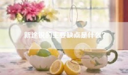 新途锐的主要缺点是什么？