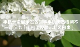 手机卡没显示怎么回事手机突然检测不到sim卡「手机卡没显示怎么回事」