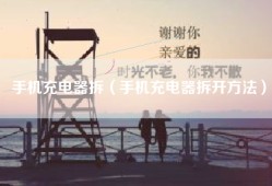 手机充电器拆（手机充电器拆开方法）