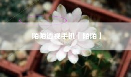 陌陌透视手机「陌陌」