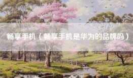 畅享手机（畅享手机是华为的品牌吗）