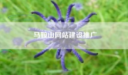 马鞍山网站建设推广