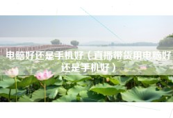 电脑好还是手机好（直播带货用电脑好还是手机好）