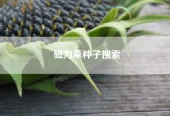 磁力草种子搜索