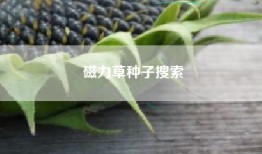 磁力草种子搜索