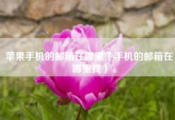 苹果手机的邮箱在哪里（手机的邮箱在哪里找）