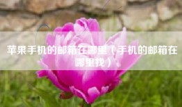 苹果手机的邮箱在哪里（手机的邮箱在哪里找）