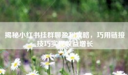 揭秘小红书挂群聊盈利攻略，巧用链接技巧实现收益增长