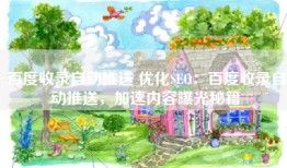 百度收录自动推送 优化SEO：百度收录自动推送，加速内容曝光秘籍