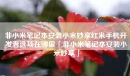 非小米笔记本安装小米妙享红米手机开发者选项在哪里「非小米笔记本安装小米妙享」