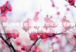 如何清理手机安装包（如何清理手机内的安装包）