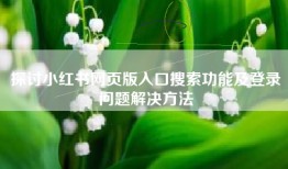 探讨小红书网页版入口搜索功能及登录问题解决方法