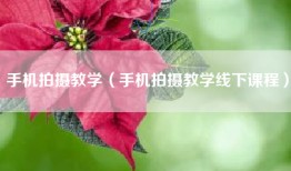 手机拍摄教学（手机拍摄教学线下课程）