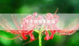 牛牛视频手机版