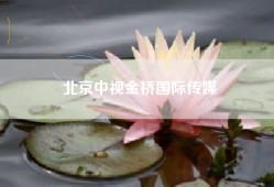 北京中视金桥国际传媒