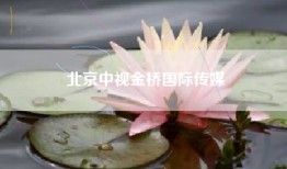 北京中视金桥国际传媒