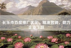 长乐市百度推广优化，精准营销，助力企业飞跃