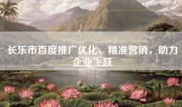 长乐市百度推广优化，精准营销，助力企业飞跃