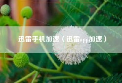 迅雷手机加速（迅雷app加速）