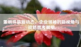 董明珠最新动态，企业领袖的新视角与战略思考展望