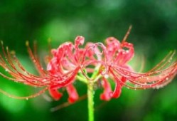 四川四日游攻略可以去哪里？四川旅游攻略4日游路线，看这篇