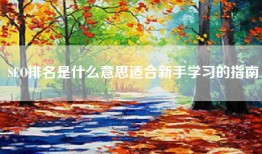 SEO排名是什么意思适合新手学习的指南