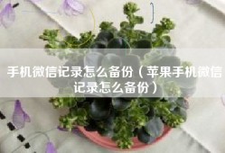 手机微信记录怎么备份（苹果手机微信记录怎么备份）