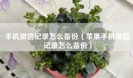 手机微信记录怎么备份（苹果手机微信记录怎么备份）