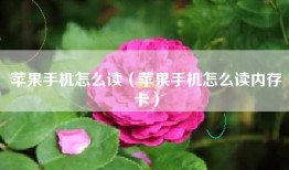 苹果手机怎么读（苹果手机怎么读内存卡）