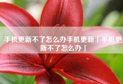 手机更新不了怎么办手机更新「手机更新不了怎么办」