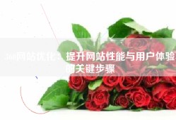 360网站优化：提升网站性能与用户体验的关键步骤