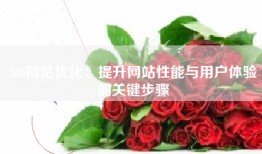 360网站优化：提升网站性能与用户体验的关键步骤