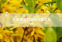 大班感恩节活动方案范文