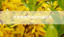 大班感恩节活动方案范文