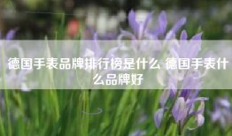 德国手表品牌排行榜是什么 德国手表什么品牌好