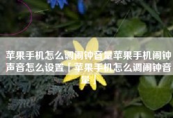 苹果手机怎么调闹钟音量苹果手机闹钟声音怎么设置「苹果手机怎么调闹钟音量」