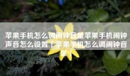 苹果手机怎么调闹钟音量苹果手机闹钟声音怎么设置「苹果手机怎么调闹钟音量」