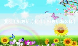 北斗手机导航（北斗手机导航怎么样）