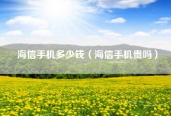 海信手机多少钱（海信手机贵吗）