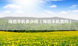 海信手机多少钱（海信手机贵吗）