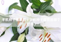 手机种子播放器（手机种子播放器哪个好用）