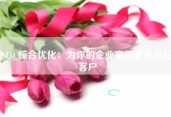 SEO 综合优化：为你的企业赢得更多潜在客户
