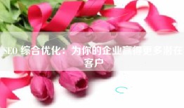 SEO 综合优化：为你的企业赢得更多潜在客户