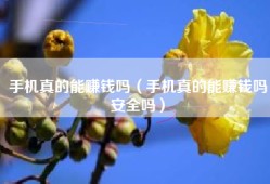 手机真的能赚钱吗（手机真的能赚钱吗安全吗）