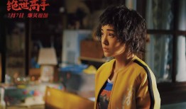 陈杨绝世高手最新详解，评测、特性、体验、竞品对比及用户群体分析