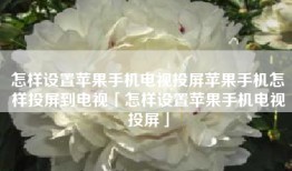 怎样设置苹果手机电视投屏苹果手机怎样投屏到电视「怎样设置苹果手机电视投屏」