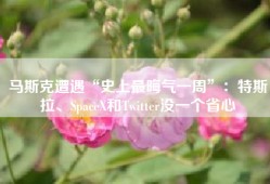 马斯克遭遇“史上最晦气一周”：特斯拉、SpaceX和Twitter没一个省心