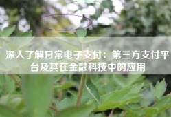 深入了解日常电子支付：第三方支付平台及其在金融科技中的应用
